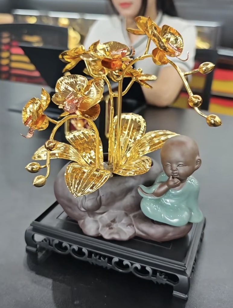 Cây Hoa Lan Mạ Vàng 2 Cây Hoa Lan Mạ Vàng