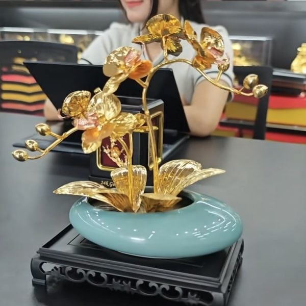 Cây Hoa Lan Mạ Vàng