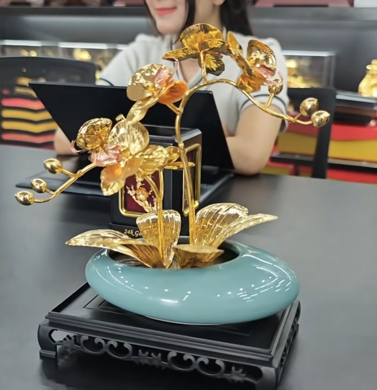 Cây Hoa Lan Mạ Vàng
